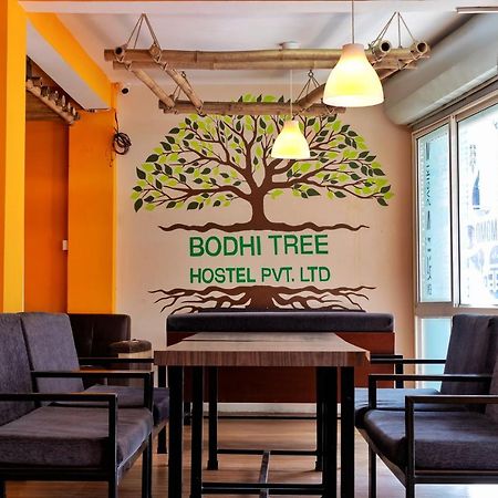 Bodhi Tree Hostel Katmandu Zewnętrze zdjęcie