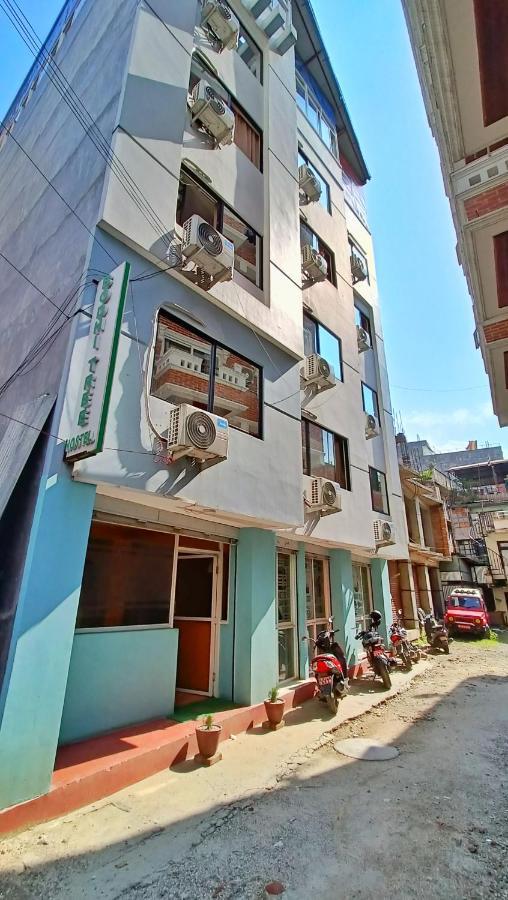 Bodhi Tree Hostel Katmandu Zewnętrze zdjęcie